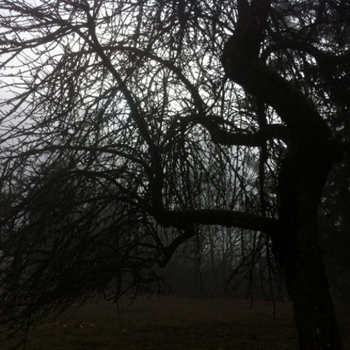 1 Das Stille Lied