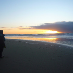 A Place Where Everything Is Fine