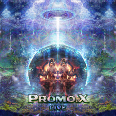 Promo.X Live @ Born To Be Psychedelic 2.0 (Paris)