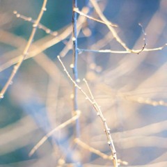 Blavatsky Solstice Mixtape