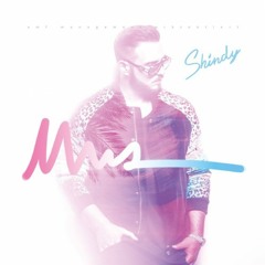 Shindy Feat. Julian Williams - Lieblingslied Remix