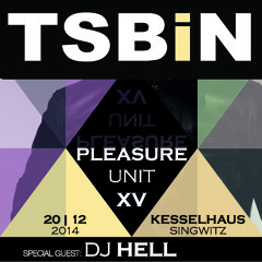 20.12.2014 TSBIN /PLEASURE UNIT XV / Kessselhaus Singwitz