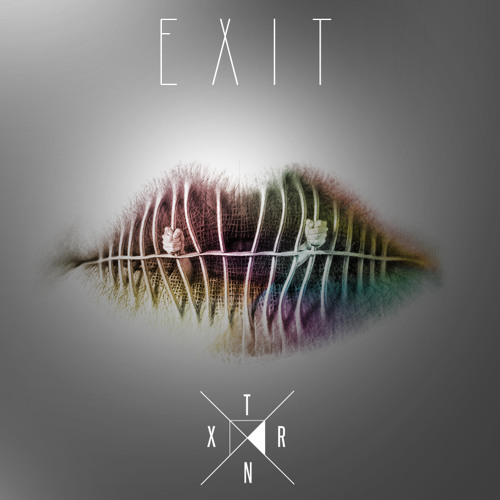 The Bridge - Trinix