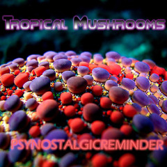 Earsugar/Tropical Bleyage/Infected Mushroom - Tropical Mushrooms by PsyNostalgicReminder
