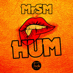 MrSM - Hum (2015) (TruchaGang)