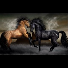 CHIEF-LIVE SET__SPECIAL_PROGRESSIVE-ATM