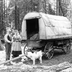 Every Thing Will Be Alright (Mastered)