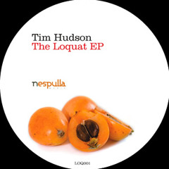 Tim Hudson - Joy To The People