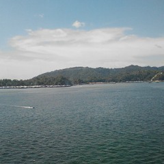 Ariana grande problem-male cover