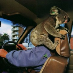 this is only beginnin