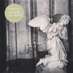 THIRTY POUNDS OF BONE - Little Drummer Boy