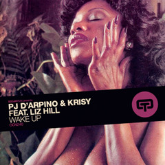 Pj D'arpino & Krisy Feat. Liz Hill - Wake Up (Gianni Bini Rootsy Mix)