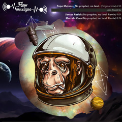 Pepe Mateos - No prophet No land (Marcelo Cura Remix)