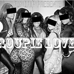 Fly Drip- Groupie Lover