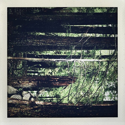Moosefly - Ohmagine (Krink Remix)
