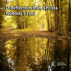 D-Reflection feat. Christa - Nobody's Fool