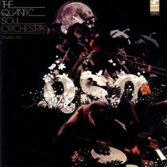 The Quatic Soul Orchestra - Pushin On (Chris Di Solar Remix)