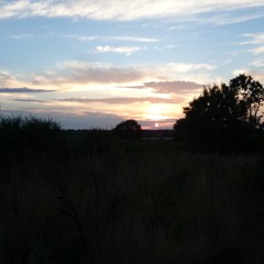 Immortal by Mr NikoJu