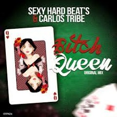 Sexy Hard Beats Ft. Carlos Tribe - Bitch Queen (Pichito,DJ Jaus papa Remix  2014)DEEMOO.WEB000