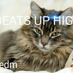 Call Lucy - Beats Up High (Leonbeatz Remix)