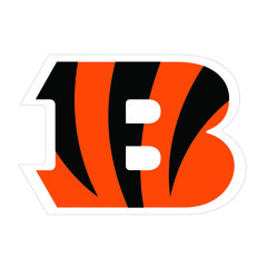 Bengal Benassi - Promo (Ice Cold Mix)