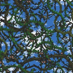 Donkey Kong Country 2: Diddy's Kong Quest - Bramble Blast Remix