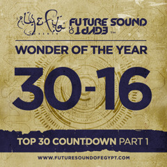 Aly & Fila - FSOE 371 (Wonder Of The Year Top 30 Countdown) Part 1
