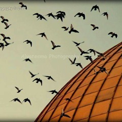 تَسْمَعُنِى رَبَاه..بدون ايقاع...