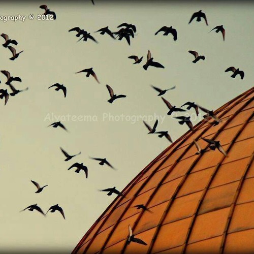 تَسْمَعُنِى رَبَاه..بدون ايقاع...