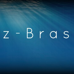 zBras - D.A.M.N (2014 edit WIP)