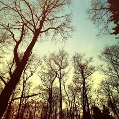 Seasons (prod. melodrama)