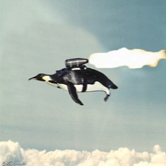 To Be Perfectly Frank