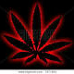 LYRICAL- Yelling Where My Cash At