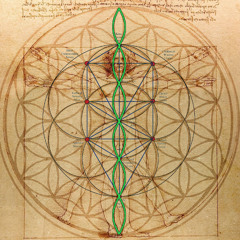 Da vinci Inventions (unmastered)
