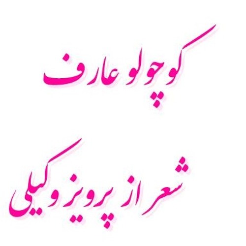 کوچولو شعر از پرویز وکیلی صدا: عارف