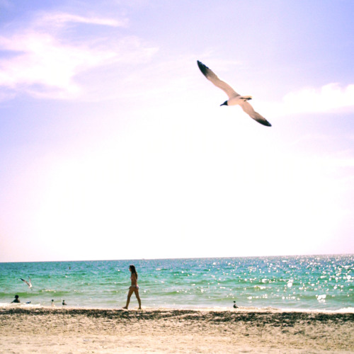 What is the difference between loving the body and being grateful for it?