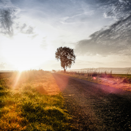 What if you could allow everything to come to you?