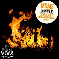Msms - Burning (Dennis Cruz Remix) CUT
