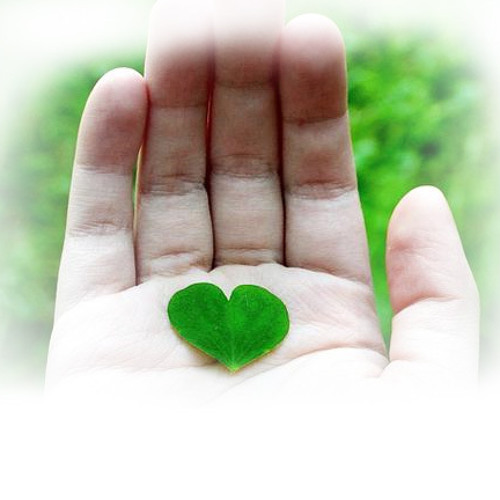 Sheila On 7 Anugrah Terindah Yang Pernah Ku Miliki Cover By Nina By Irfan Hielmy On Soundcloud Hear The World S Sounds Jam 15.00 wib hari minggu dan tanggal merah libur temukan penawaran terbaik hanya di anugrah terindah online. pernah ku miliki cover by nina