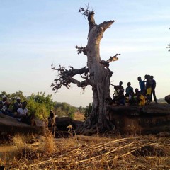 Kologo and Gonje Players in Namo'o