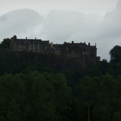 We Read The Signs & Shadows.MP3