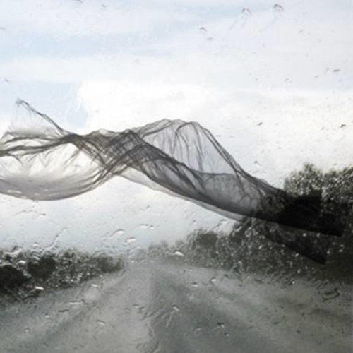 The Wind Of Leaving Leaves/Mohammad Azmand