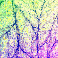 Un Noël Scintillant