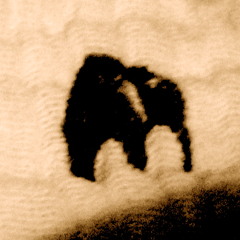 Elefantens Vuggevise (danish lullaby)