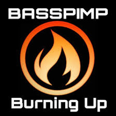 Basspimp - Burning Up (Swash Wave & Antrack Remix)