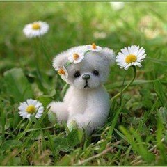 Машина Времени - Пока Горит Свеча [с Сайта Www.ololo.fm]