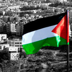 هيثم خلايله - فلسطين عربية
