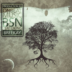 OnBeatMusic - BSN ft. BreeKay
