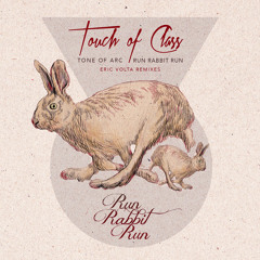 Tone of Arc - Run Rabbit Run (Eric Volta Down The Rabbit Hole Mix)