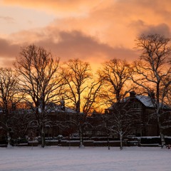 Cesta k Tobě (A Journey to You)